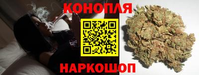 МДПВ Гусев
