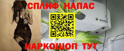 амф Гусь-Хрустальный