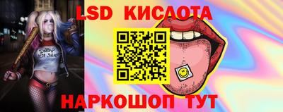 амф Гусь-Хрустальный