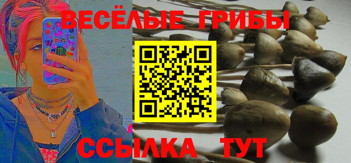 Галлюциногенные грибы Psilocybe  даркнет сайт  Валуйки  Псилоцибиновые грибы мухоморы  Вход с VPN 